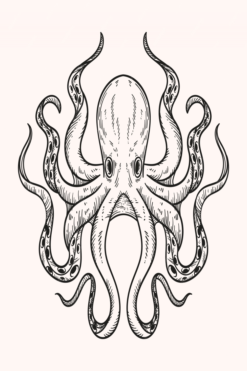 Free Vector  Hand drawn octopus drawing illustration