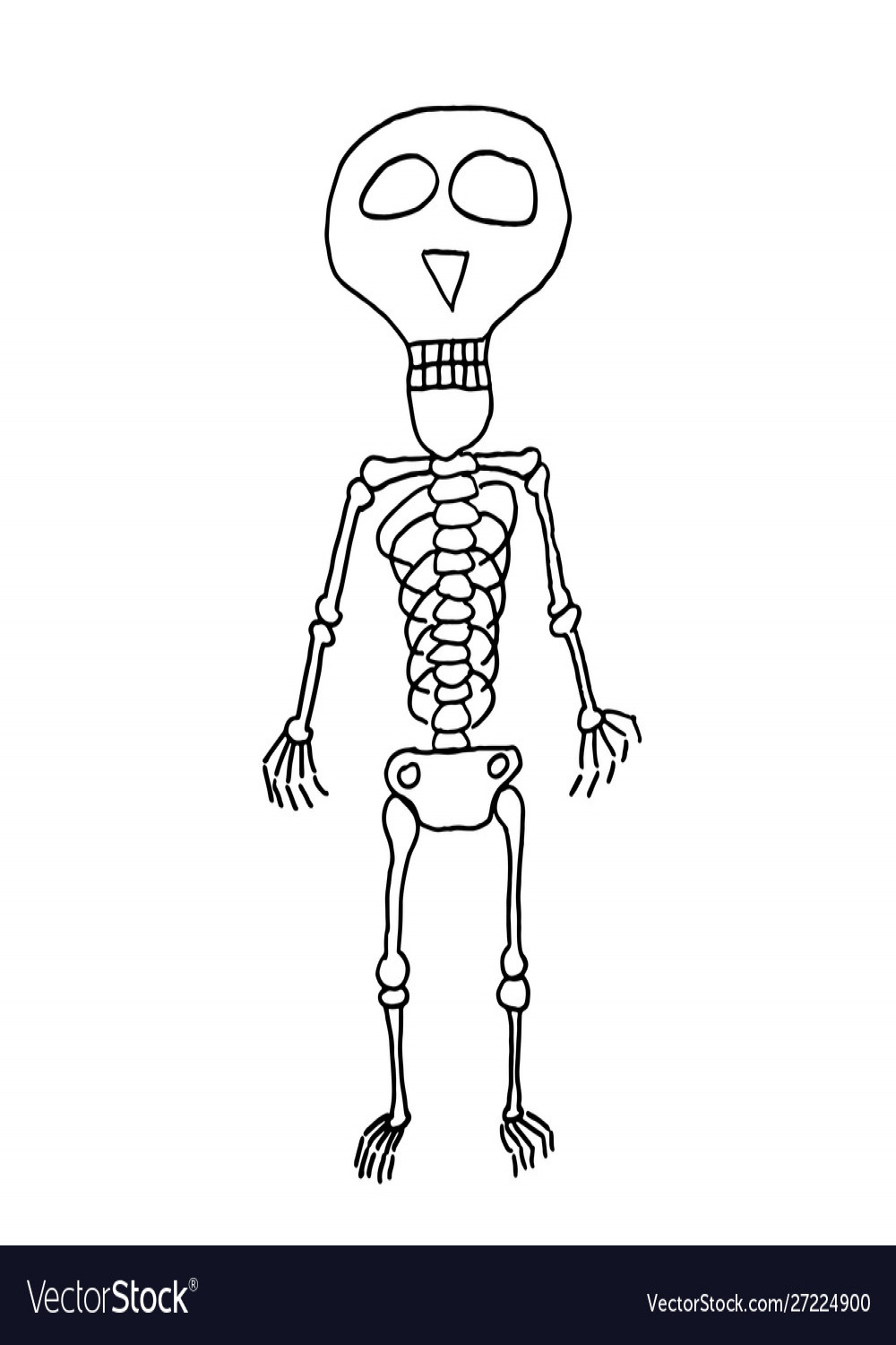 Funny hand drawn skeleton drawing Royalty Free Vector Image