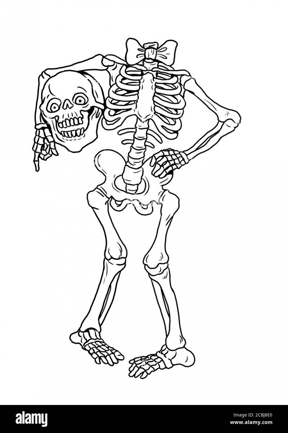 Funny human skeleton. Halloween drawing