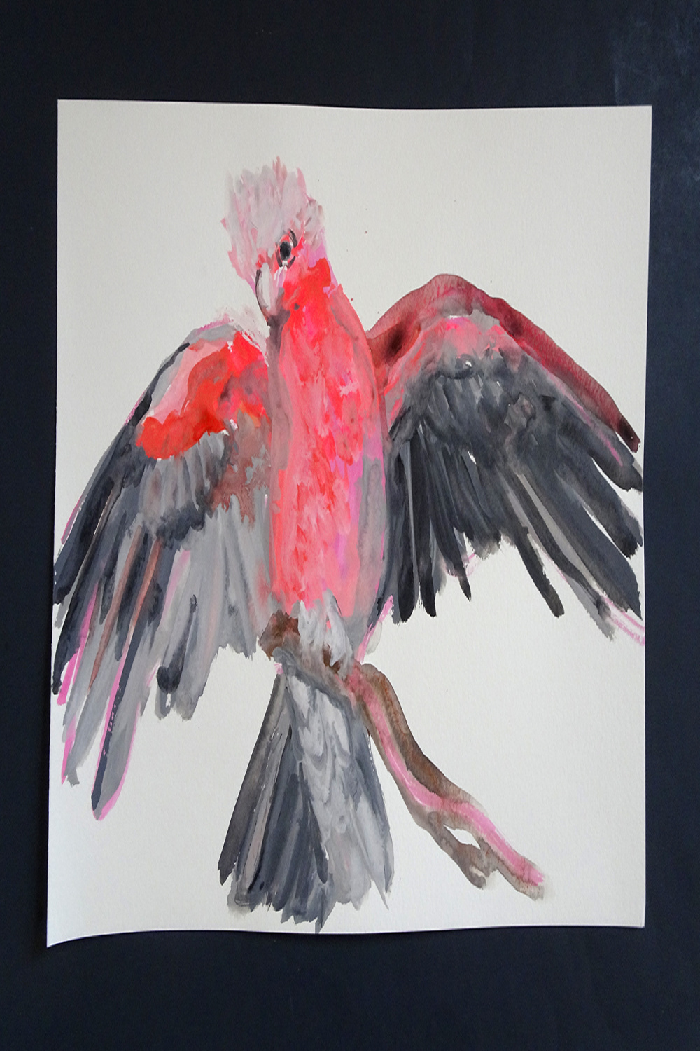 Galah Cockatoo (draw a bird day)  method two madness