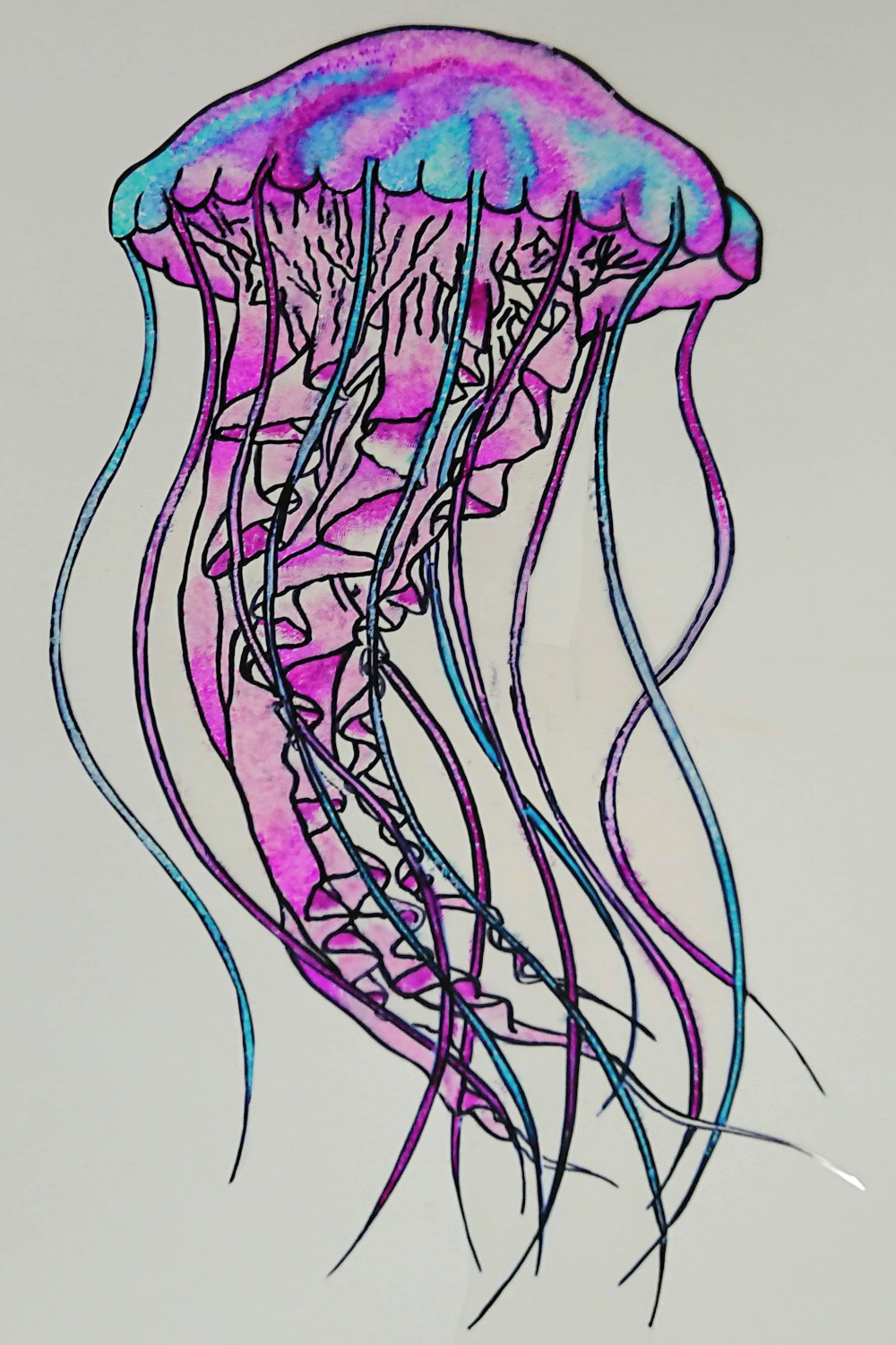 GCSE Art Scheme of Work: The Blue Planet – The Art Teacher