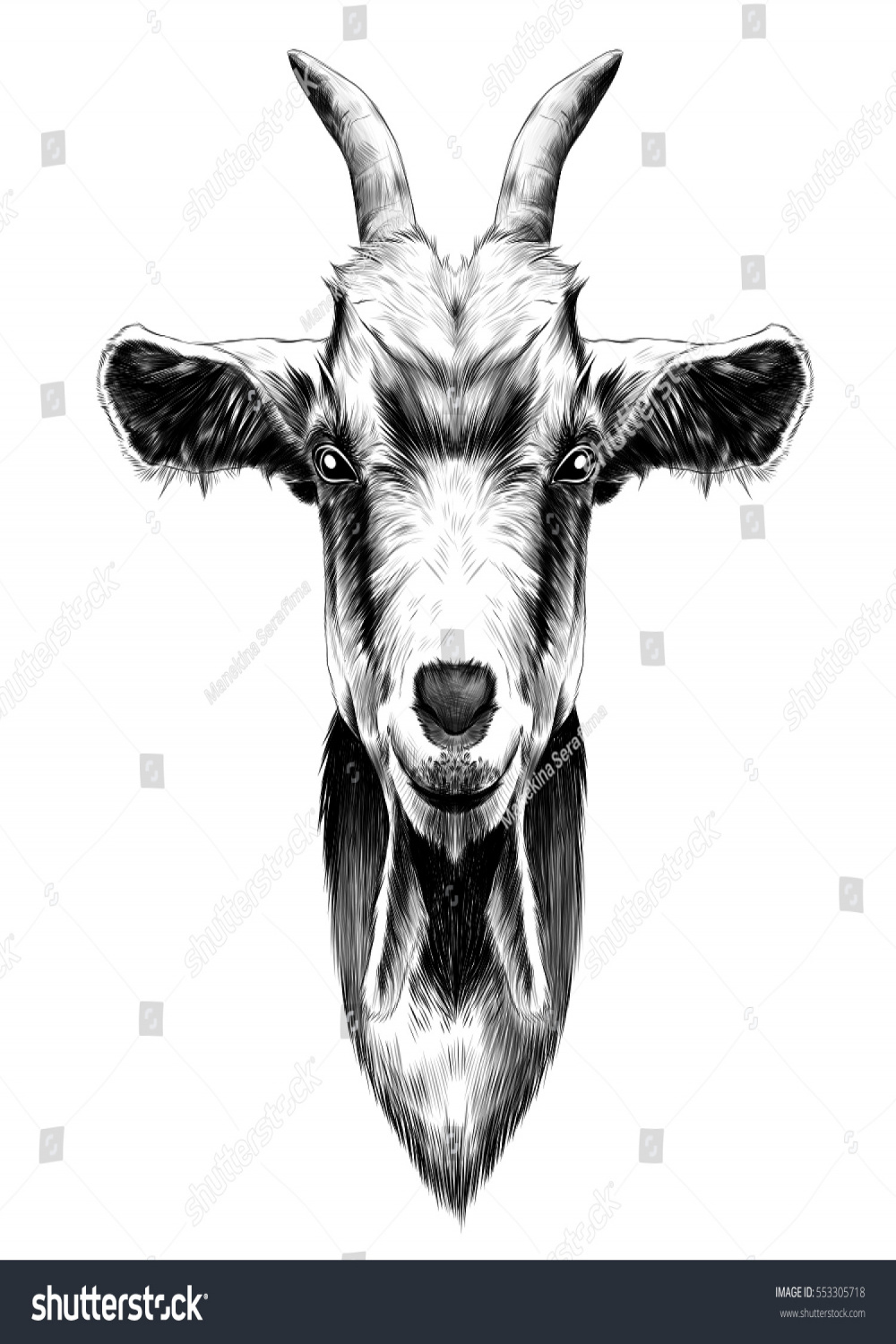 Goat Head Drawing Stock Photos and Pictures - , Images