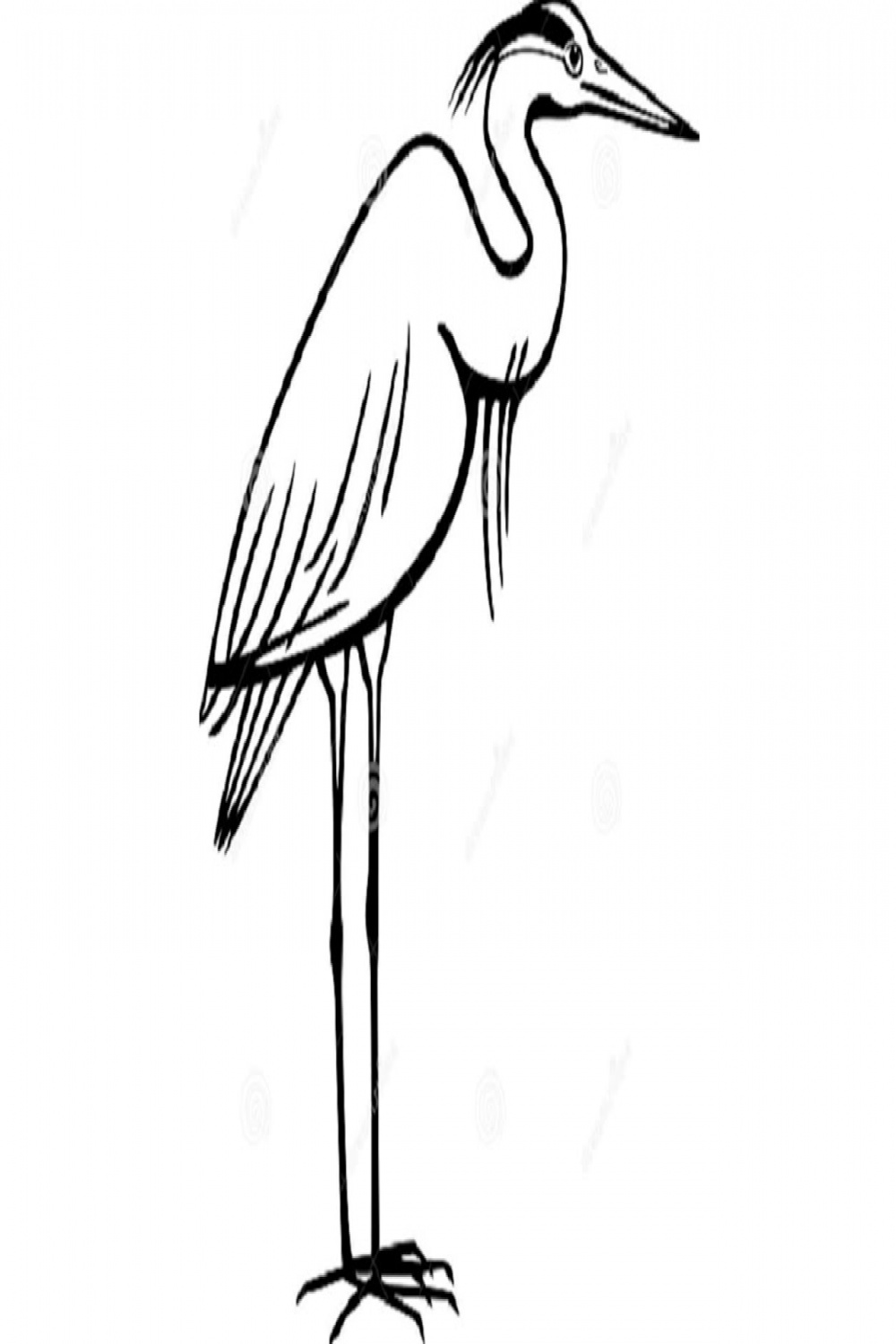 Great Blue Heron Bird Sketch Drawing Easy, How To Draw Simple Great Blue  Heron Cartoon Step by Step