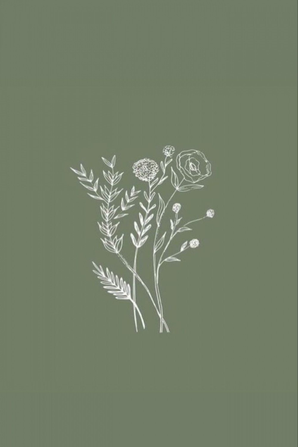 Green Flower Wallpaper  Smartphone hintergrund, Hintergrund