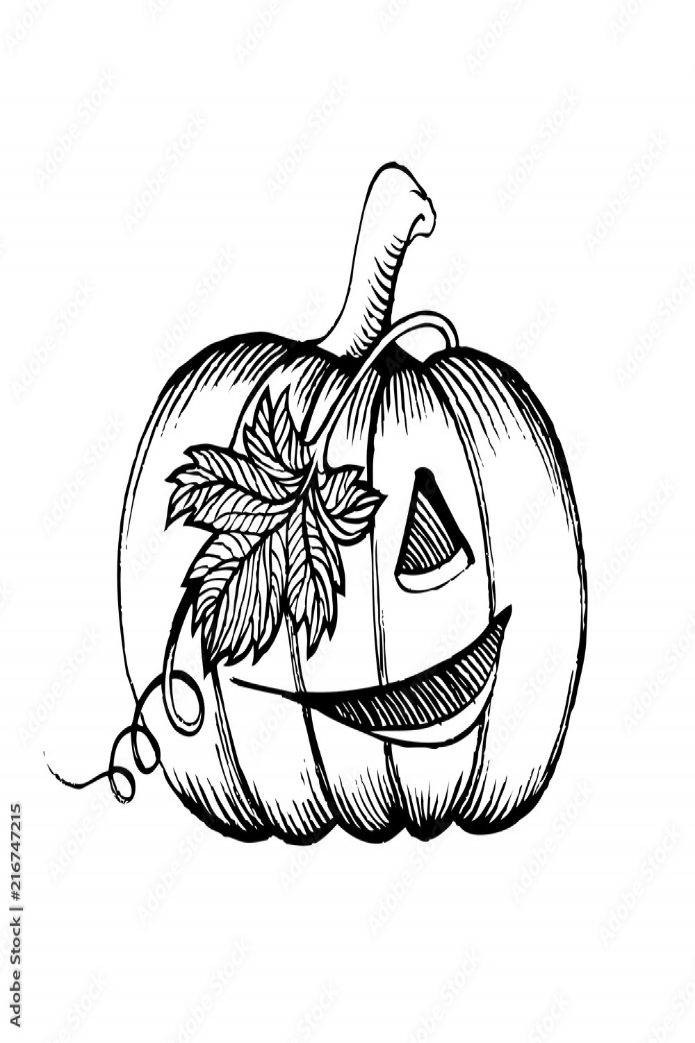 Halloween pumpkin sketch drawing with leaves, vector illustration
