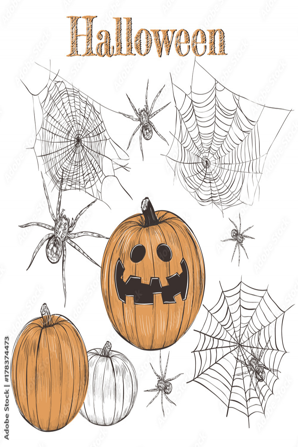 Halloween Set Pumpkin Sketch, Spider Web, Spiders