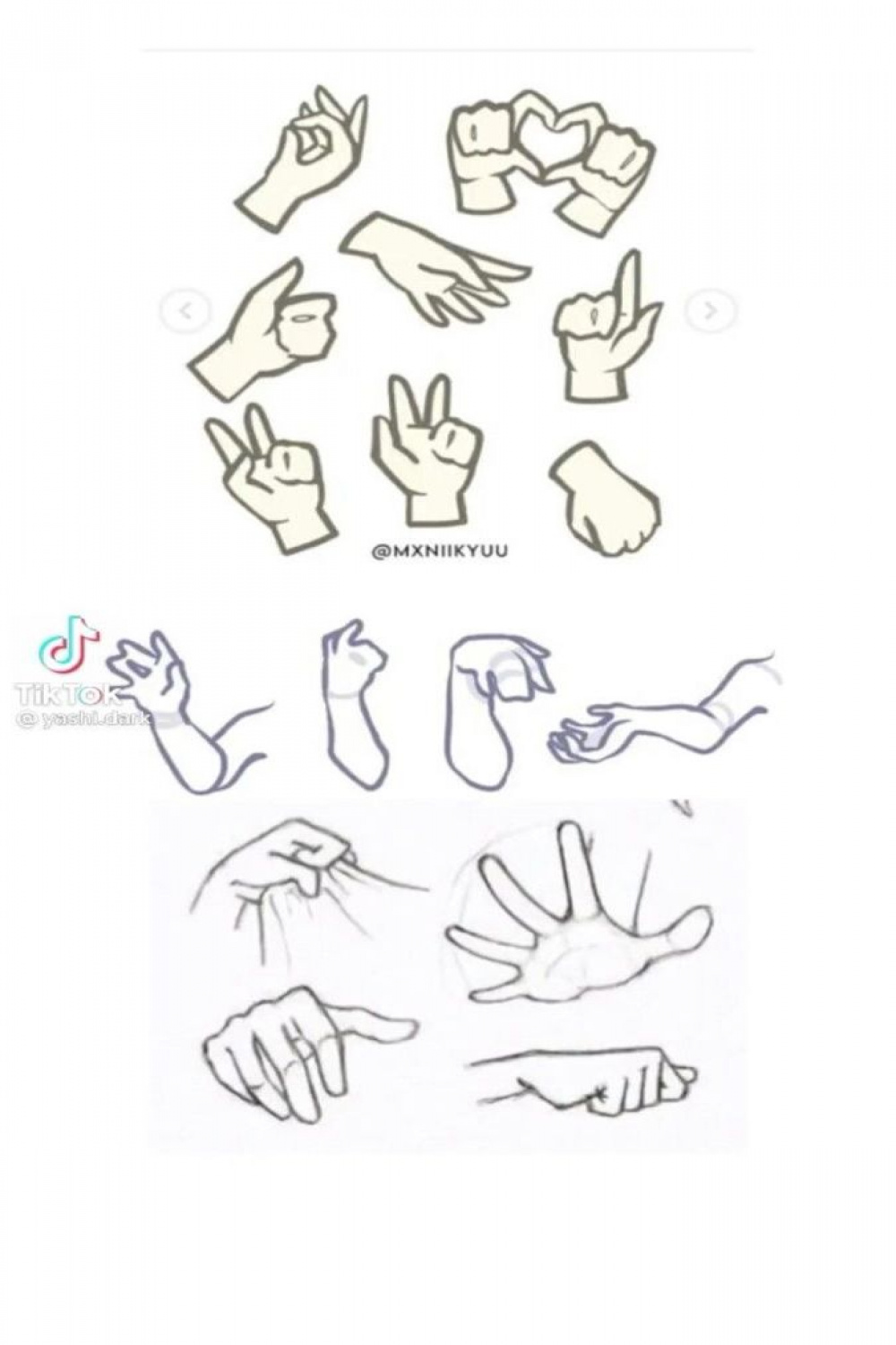 Hand bases  Base de desenho, Referência mão, Referência de mão