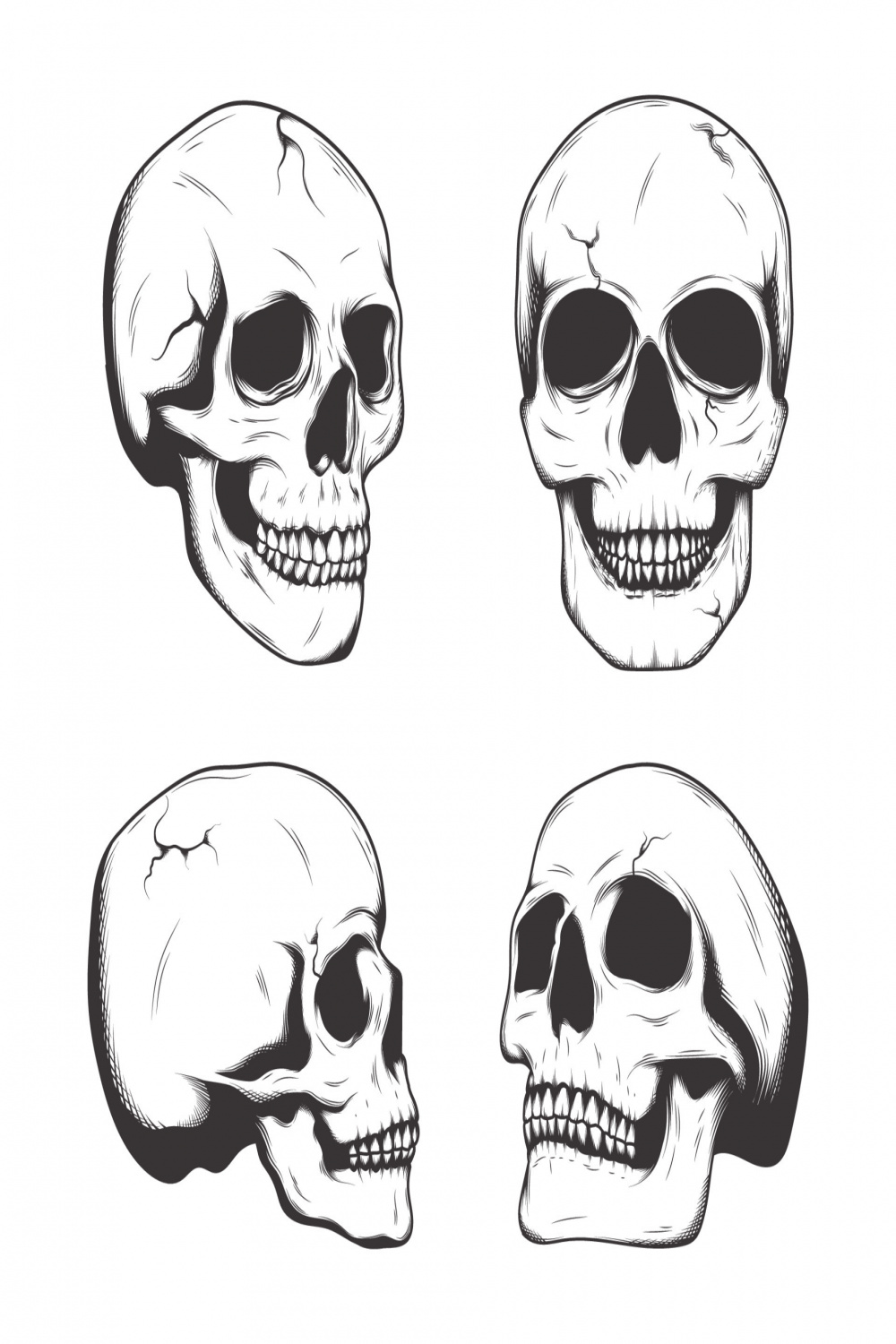 Hand Drawing Aesthetic Realistic Skull Collection  Vector