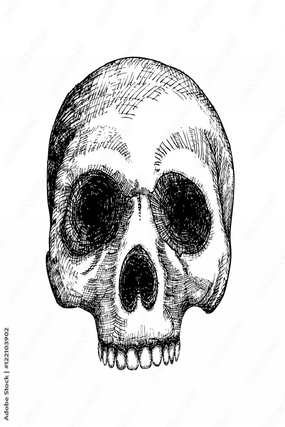 Hand drawing skull. Human skull sketch