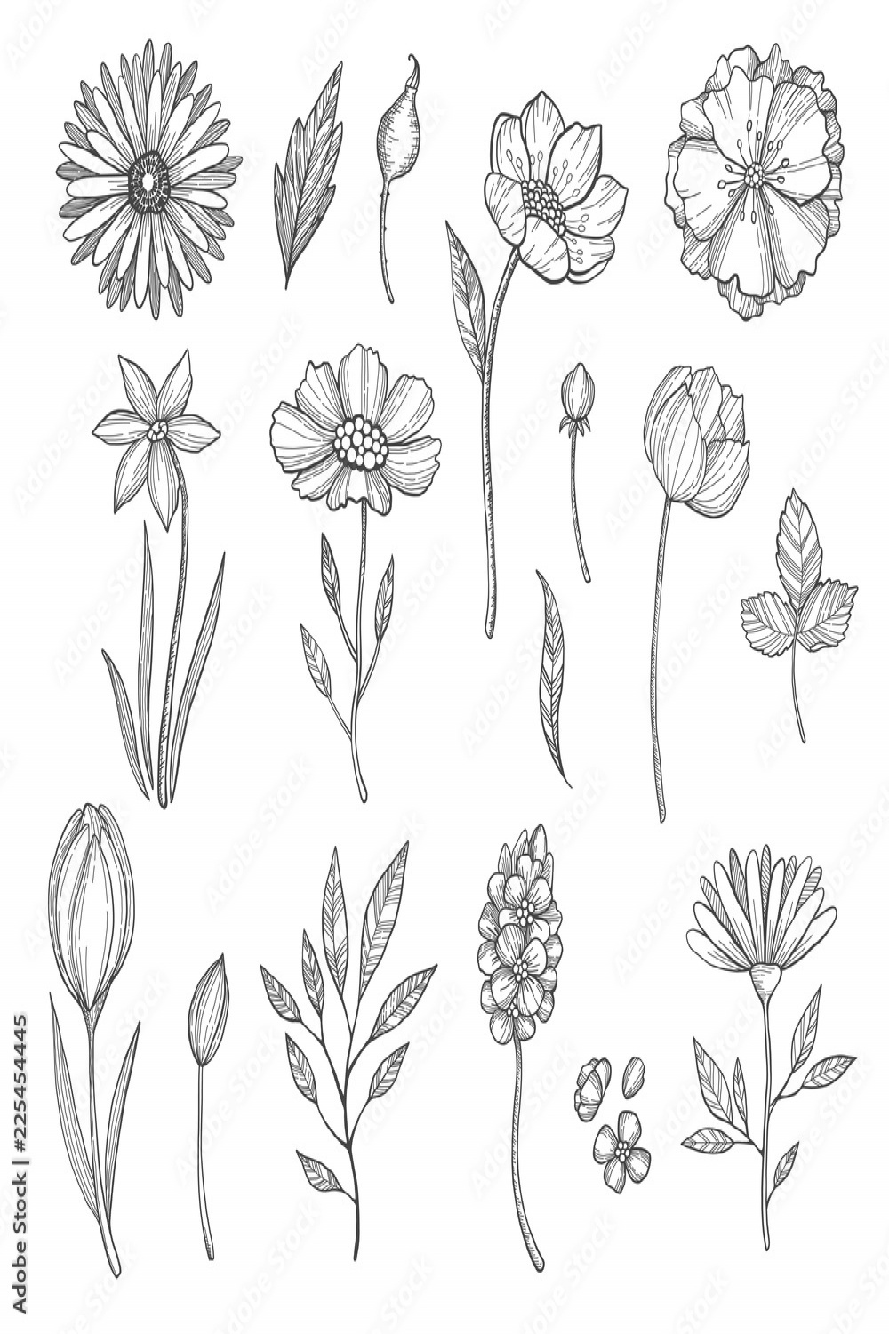 Hand drawn flowers