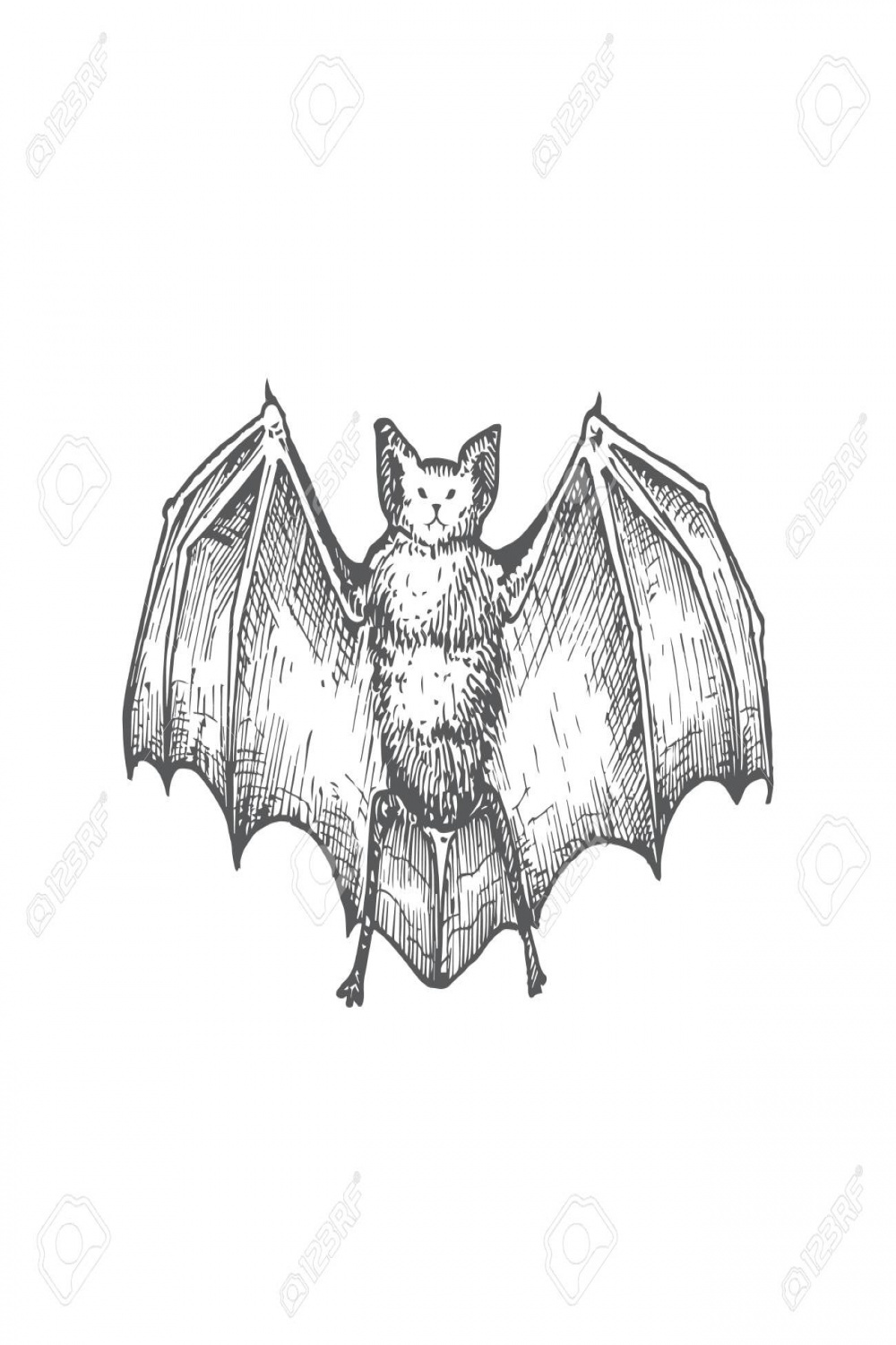 Hand Drawn Halloween Scary Vampire Vector Illustration