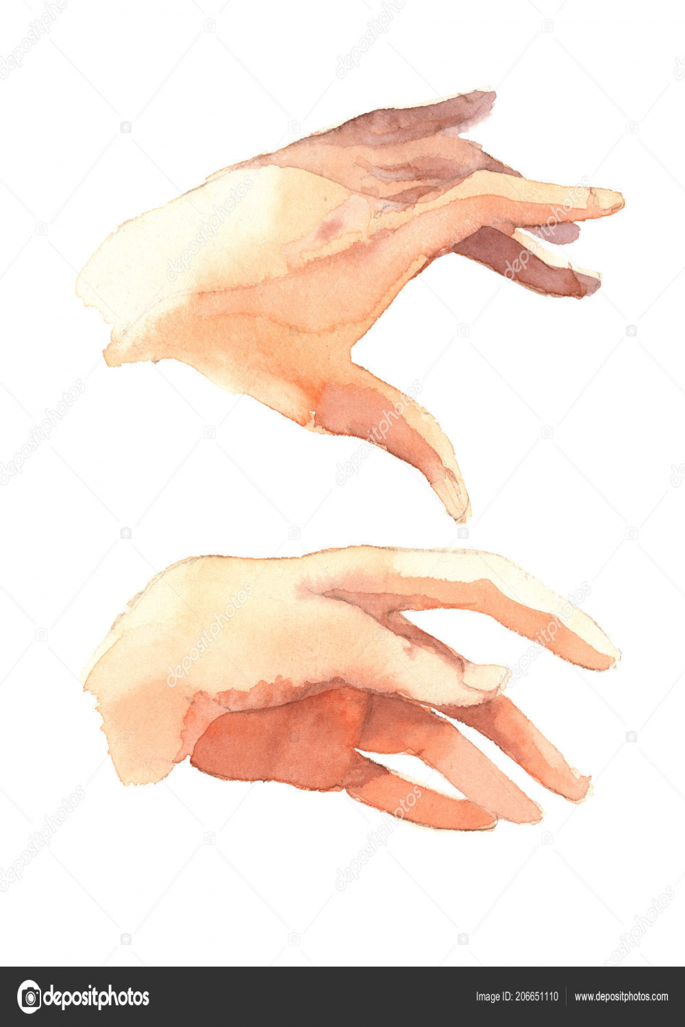 Hände Zeichnen Aquarell Illustration Realistische Skizze Skizze