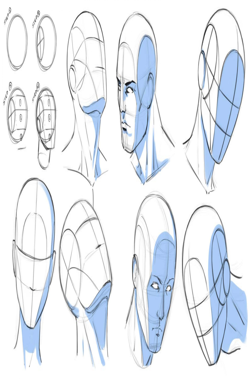 Head Drawing Reference and Sketches for Artists