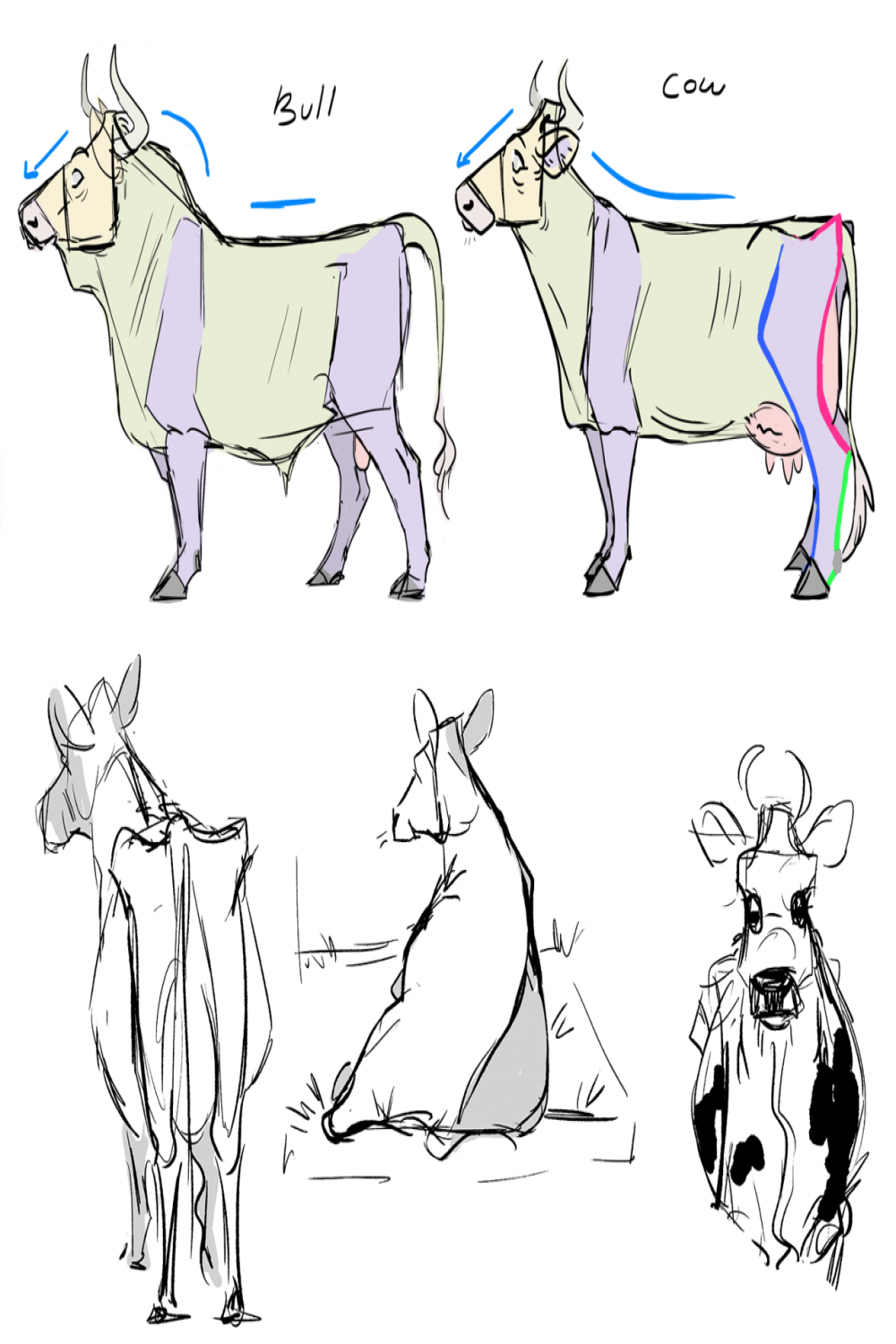Hello! Do you have any tips for drawing cows? I
