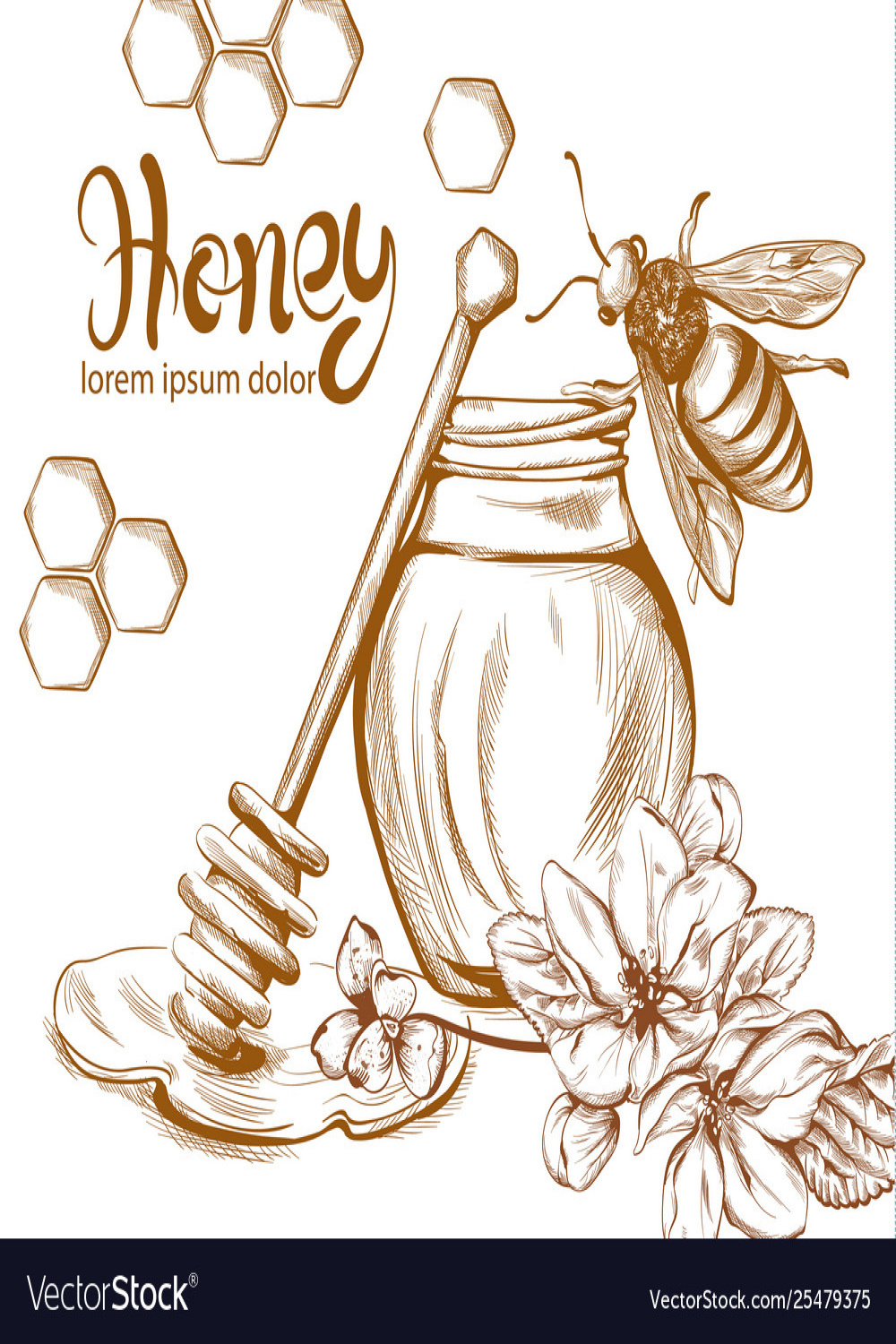 Honey bees jar line art retro vintage old Vector Image