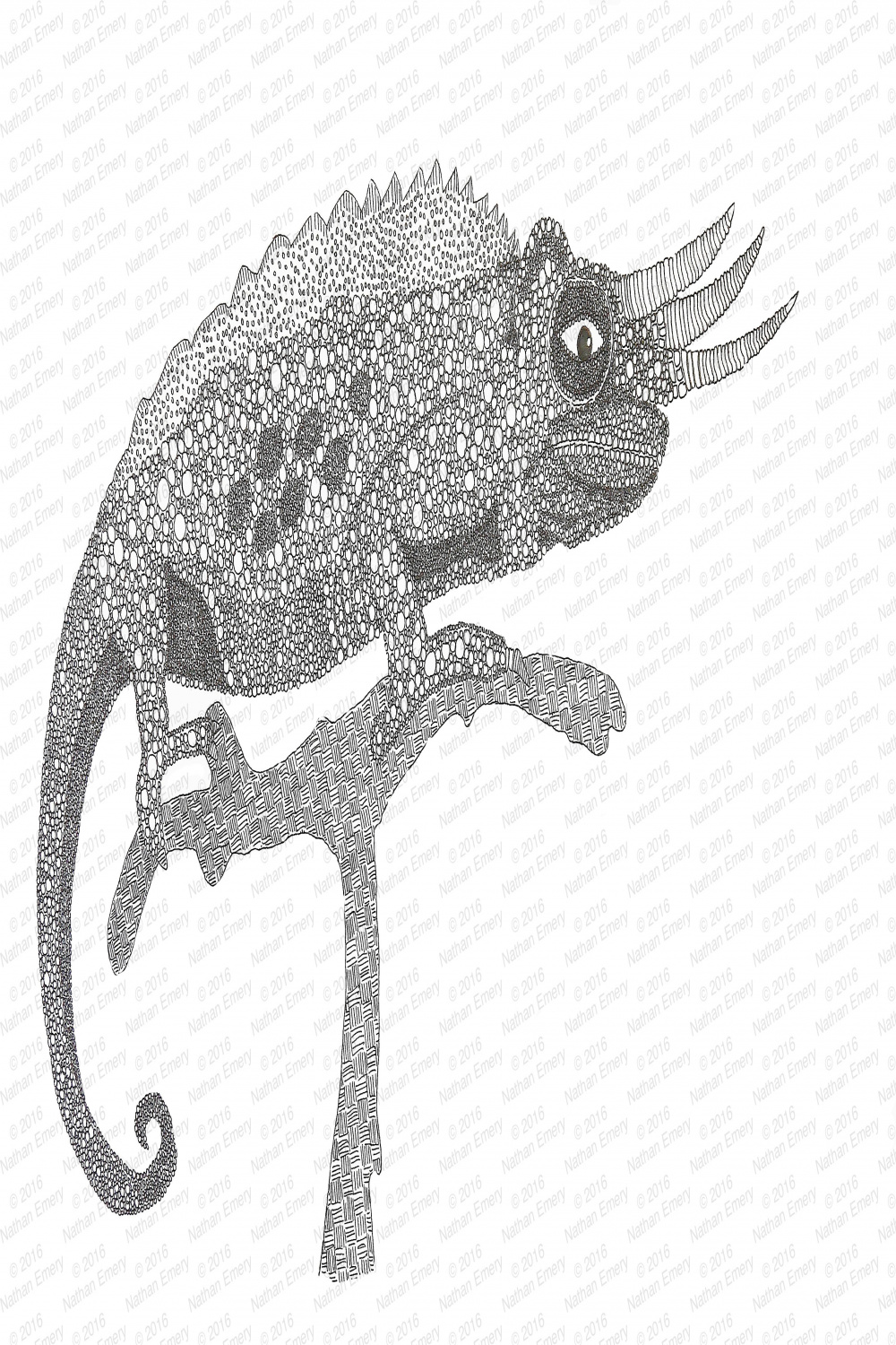 Horned Chameleon  The Feathered Ape