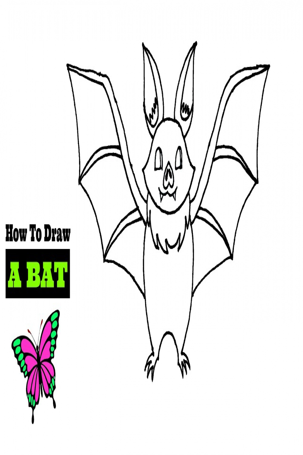How To Draw A Bat (Animal)  Bat Draw Step By Step