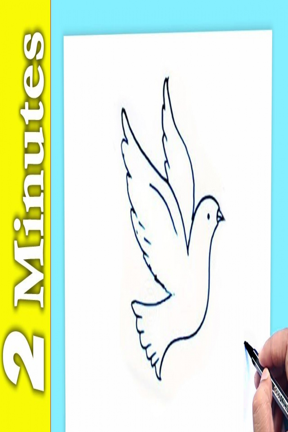 ✅ How To Draw a Bird in  Minutes  Bird drawings, Bird drawing for kids,  Flying bird drawing
