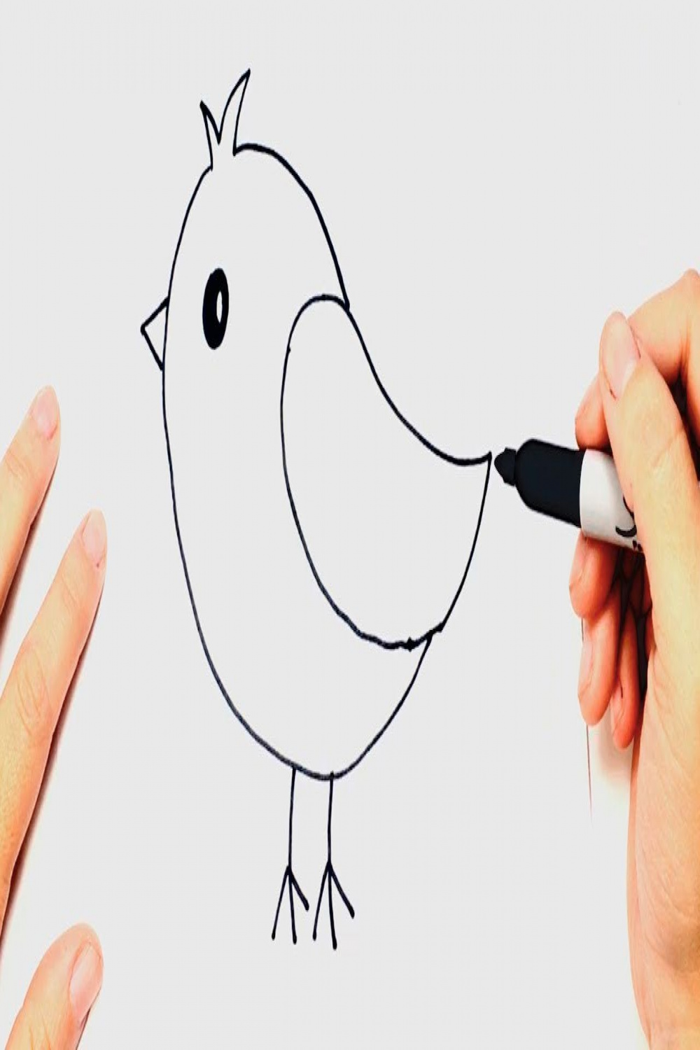 How to draw a Bird Very Easy Step by Step  Bird drawing for kids, Drawing  birds easy, Simple bird drawing