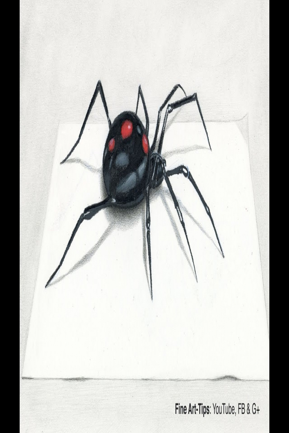 How to Draw a Black Widow Spider in D - Narrated