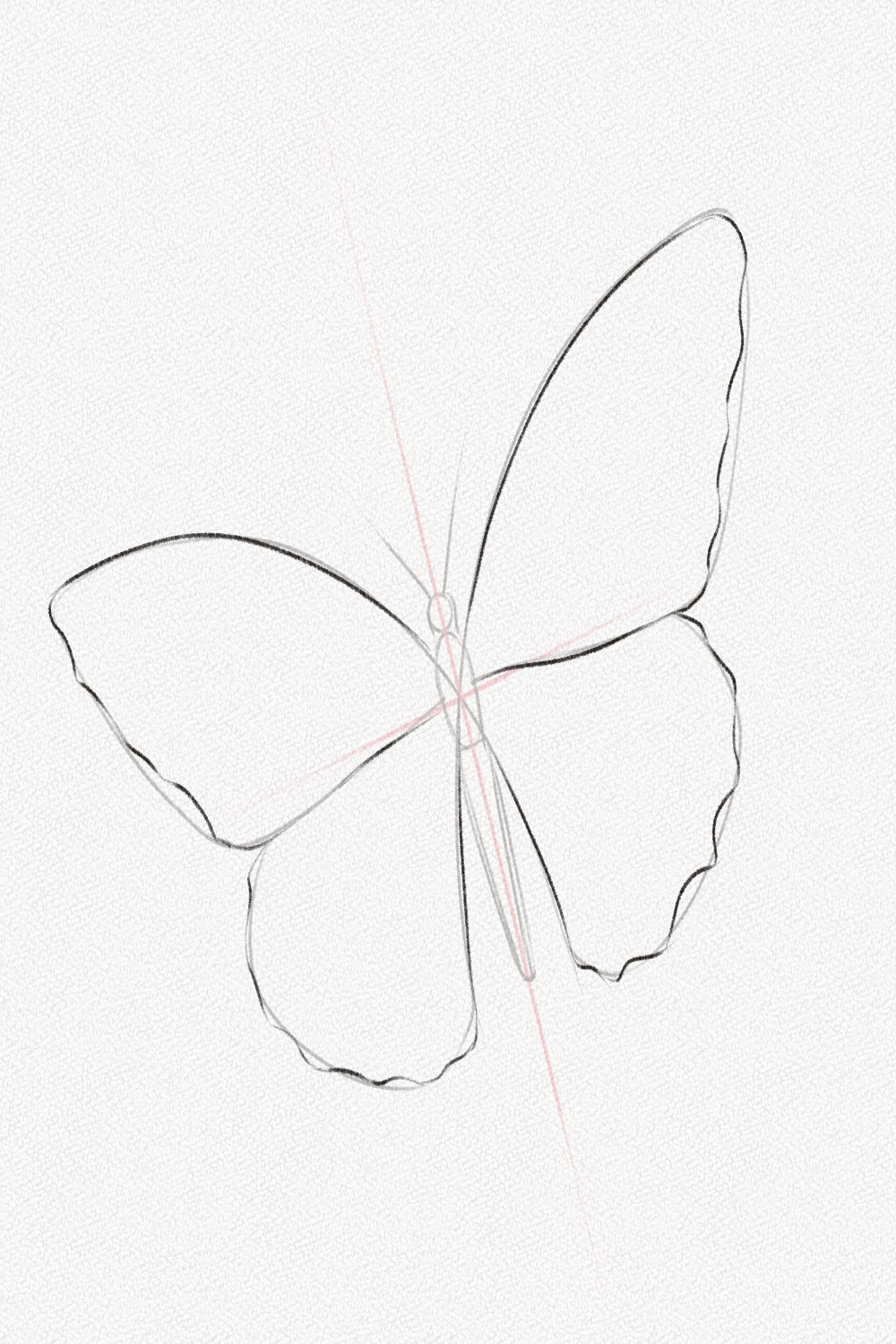 How to Draw a Butterfly – A Step-by-Step Tutorial – Artlex