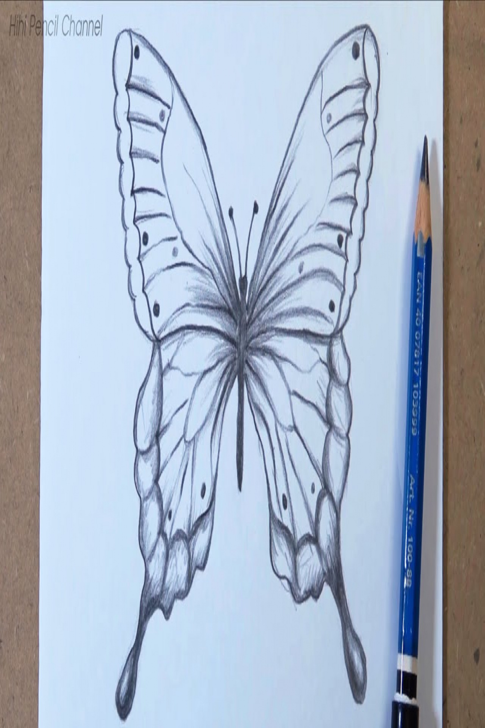 How to draw a Butterfly Step by Step  Pencil drawing