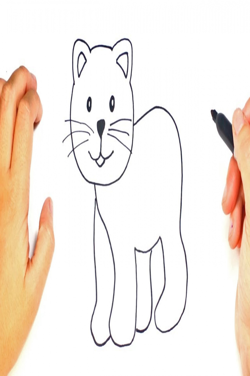 How to draw a Cat Easily Step by Step  Cat Drawing Lesson