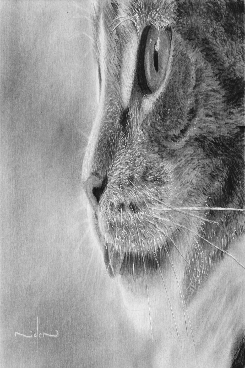 How to Draw a Cat - Side View — Online Art Lessons