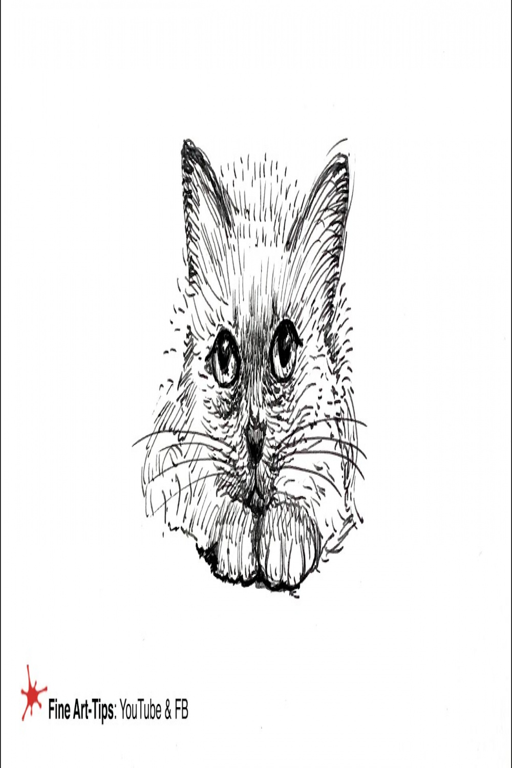 HOW TO DRAW A CAT WITH INK - (Timelapse)