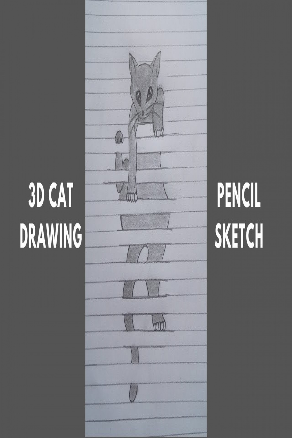 How To Draw A D Cat Using Pencil Sketch  Easy Drawing For Beginners