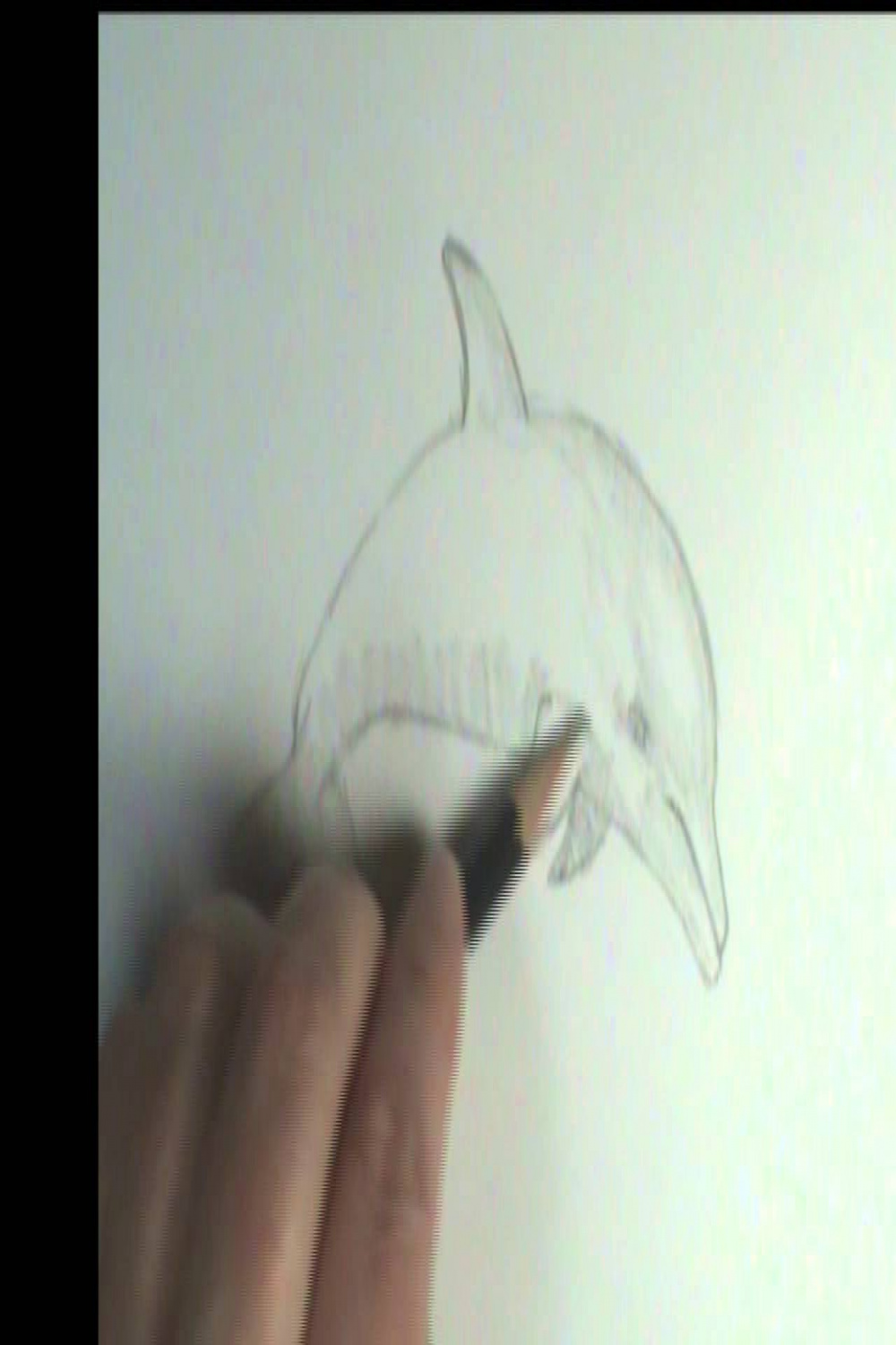 How to draw a Dolphin