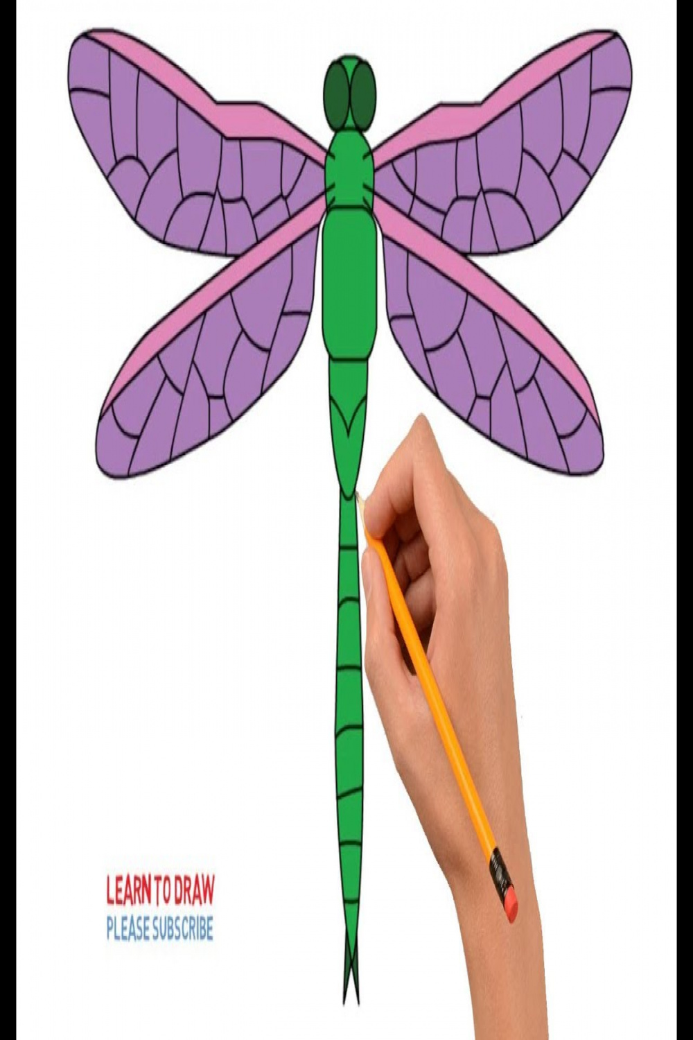 How to Draw a Dragonfly Step By Step Easy For Kids
