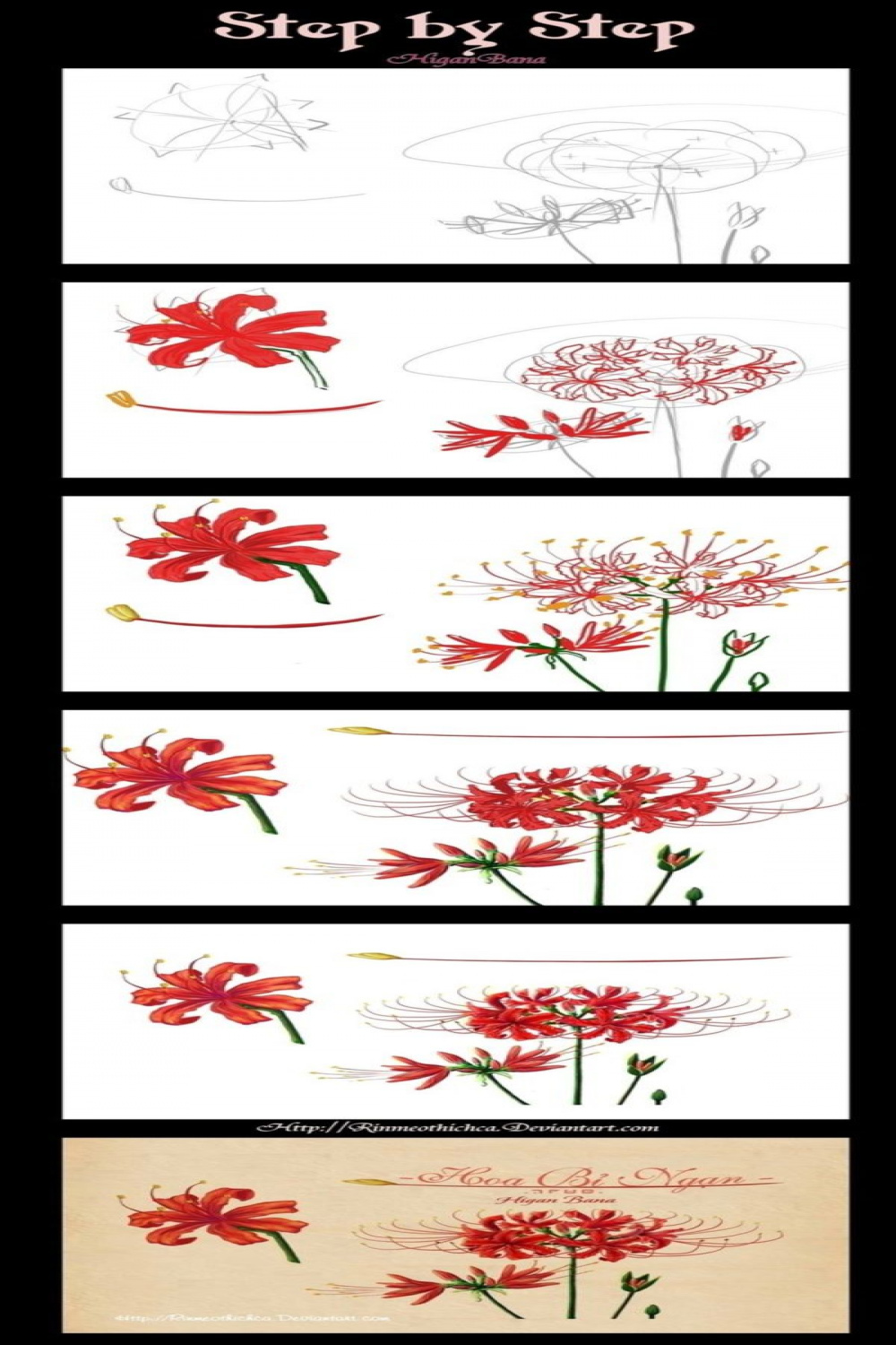 How To Draw A Flower (Step By Step Image Guides) - Bored Art