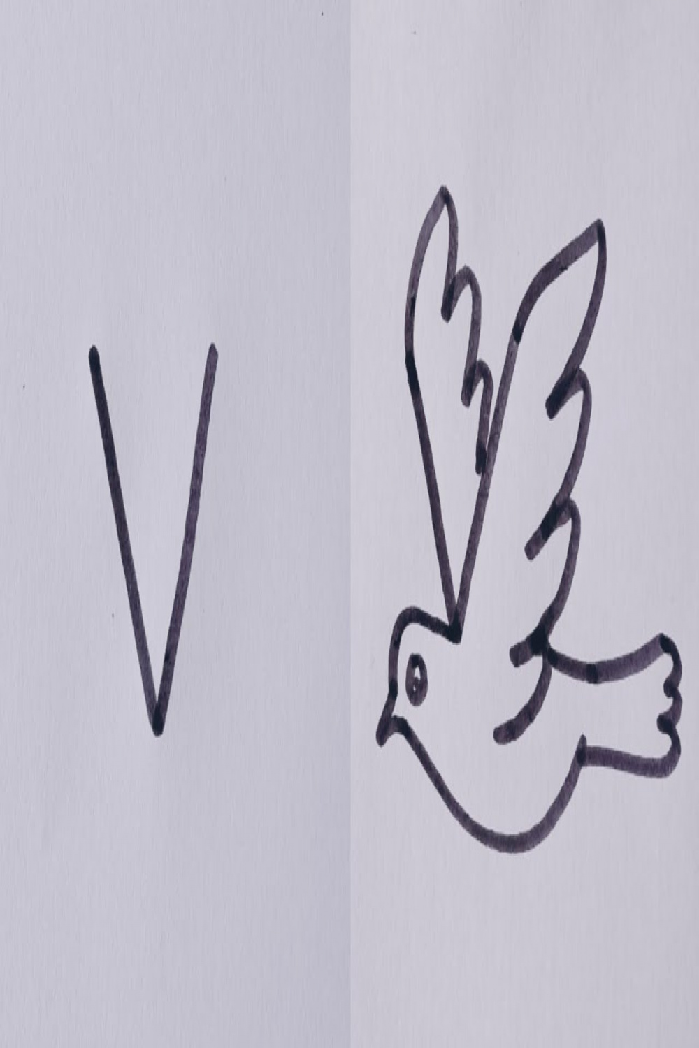 How to draw a Flying bird (Dove) Easy drawing step by step//Flying bird  from letter V.