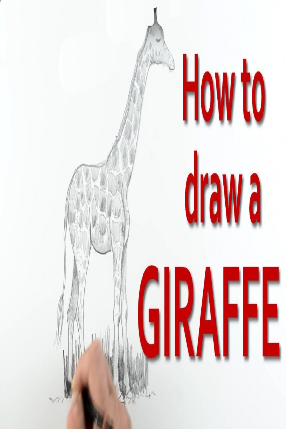 How to Draw a Giraffe