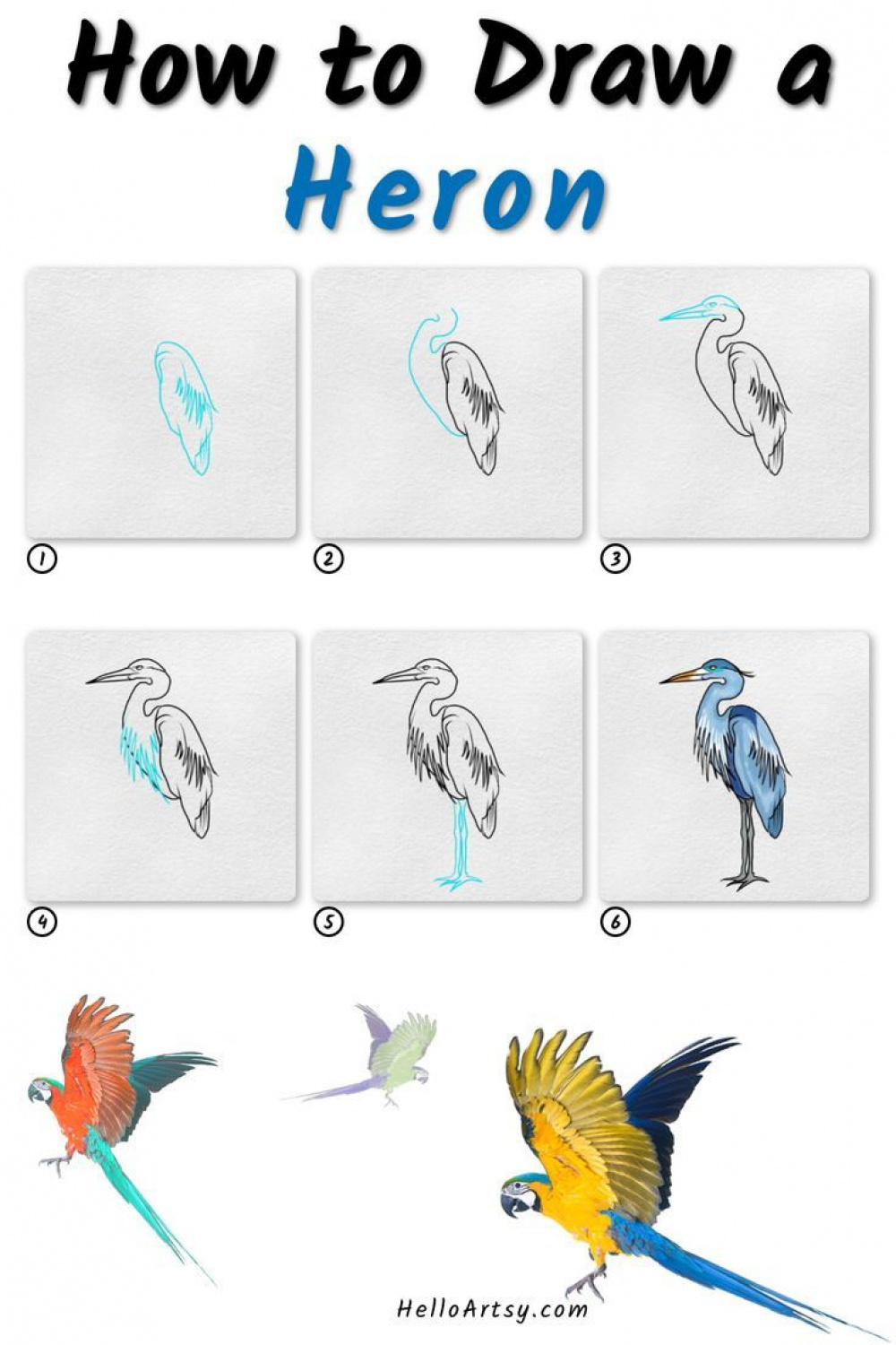 How to Draw a Heron :) Learn to Draw in  EASY STEPS!  Bird