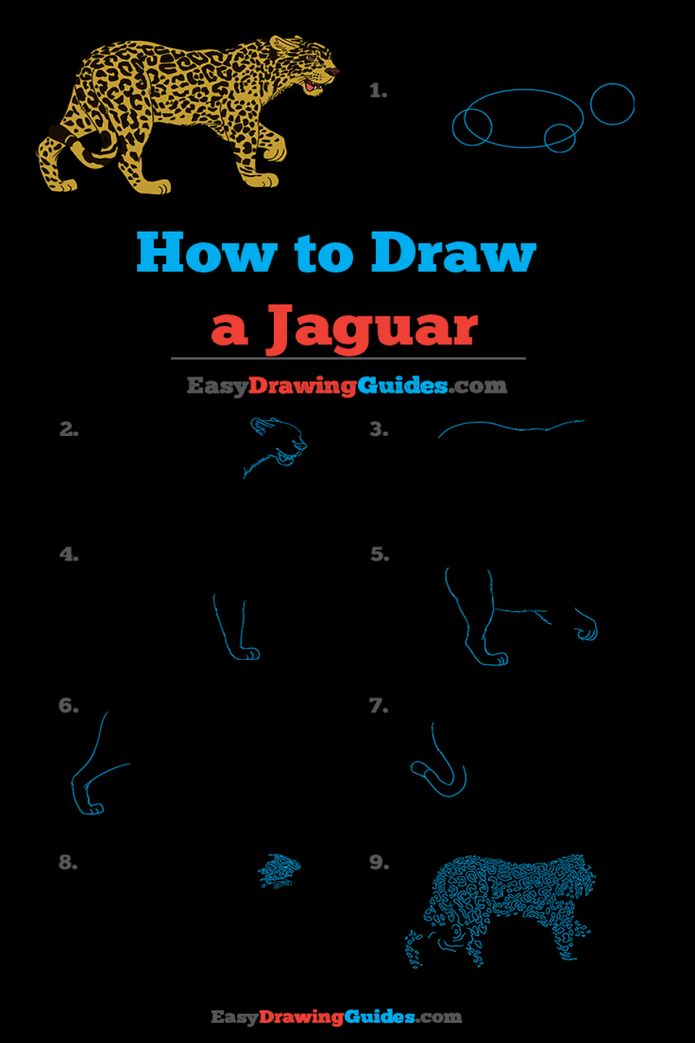 How to Draw a Jaguar - Really Easy Drawing Tutorial  Easy