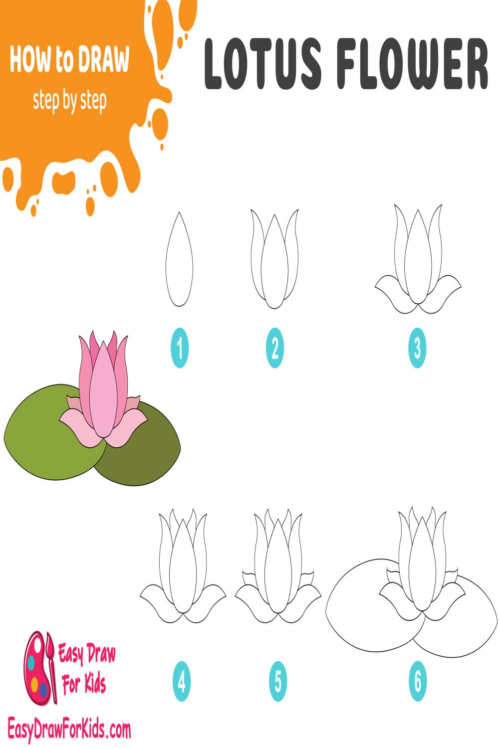 How to Draw a Lotus Flower: A Step-by-Step Guide by