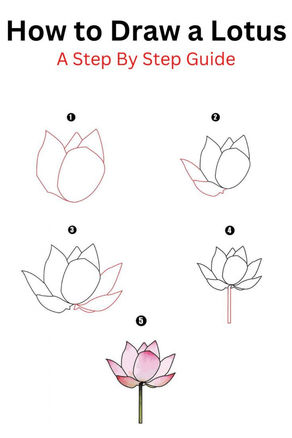 How to Draw a Lotus  Lotus drawing, Lotus flower drawing, Flower