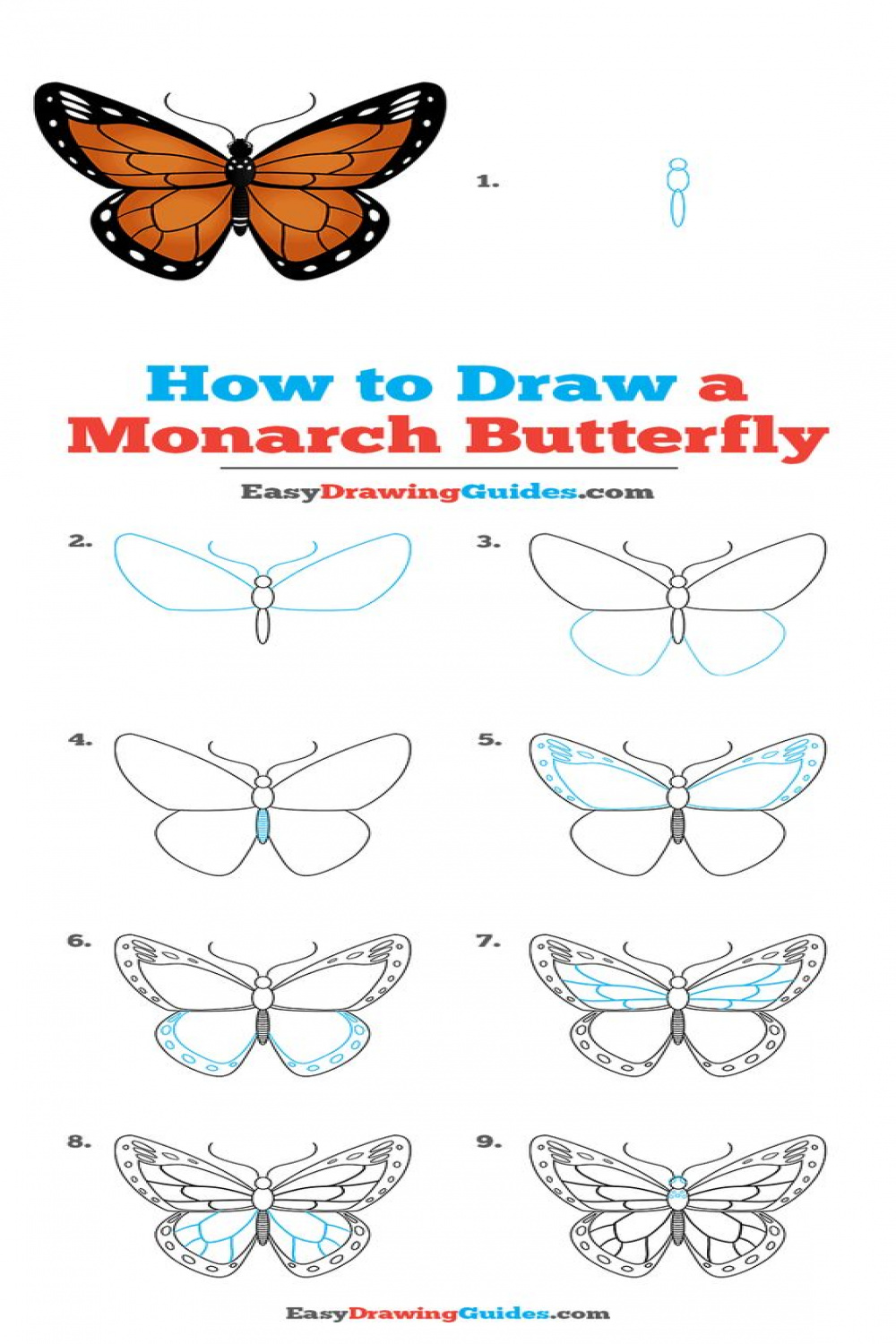 How to Draw a Monarch Butterfly - Really Easy Drawing Tutorial