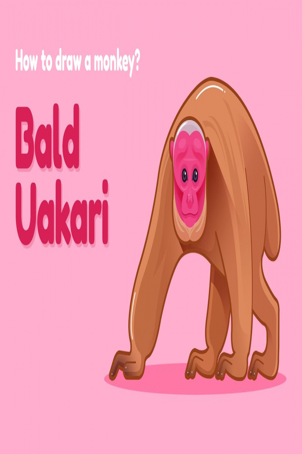 How to draw a monkey - Bald Uakari? Easy and simple drawing  Animal  character design tutorial