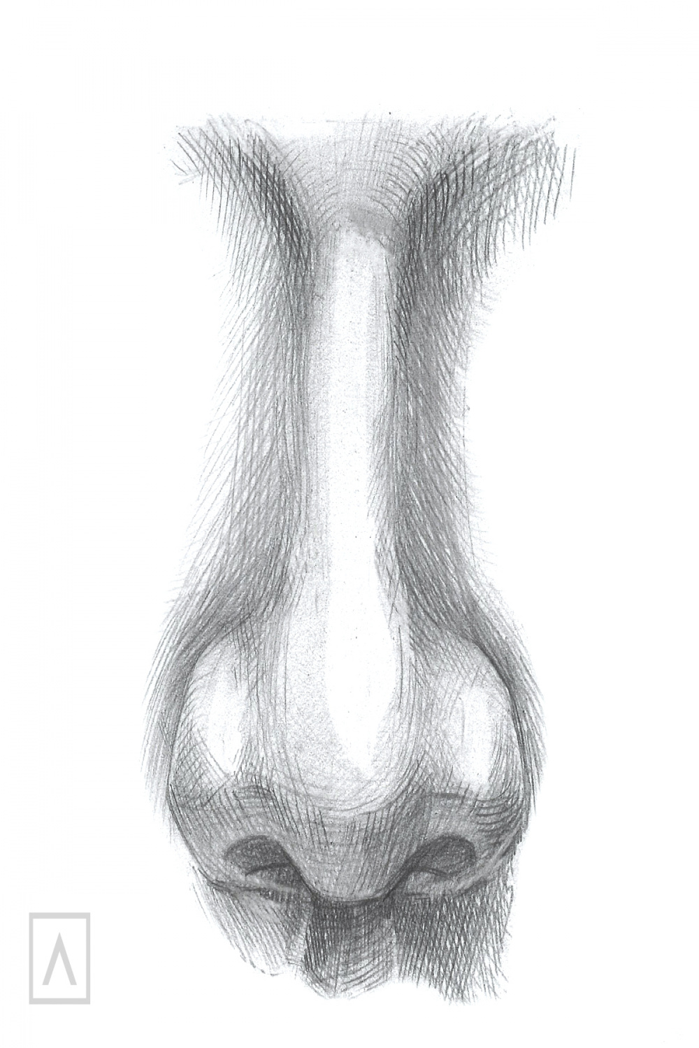 How to Draw a Nose in Just  Steps – Arteza