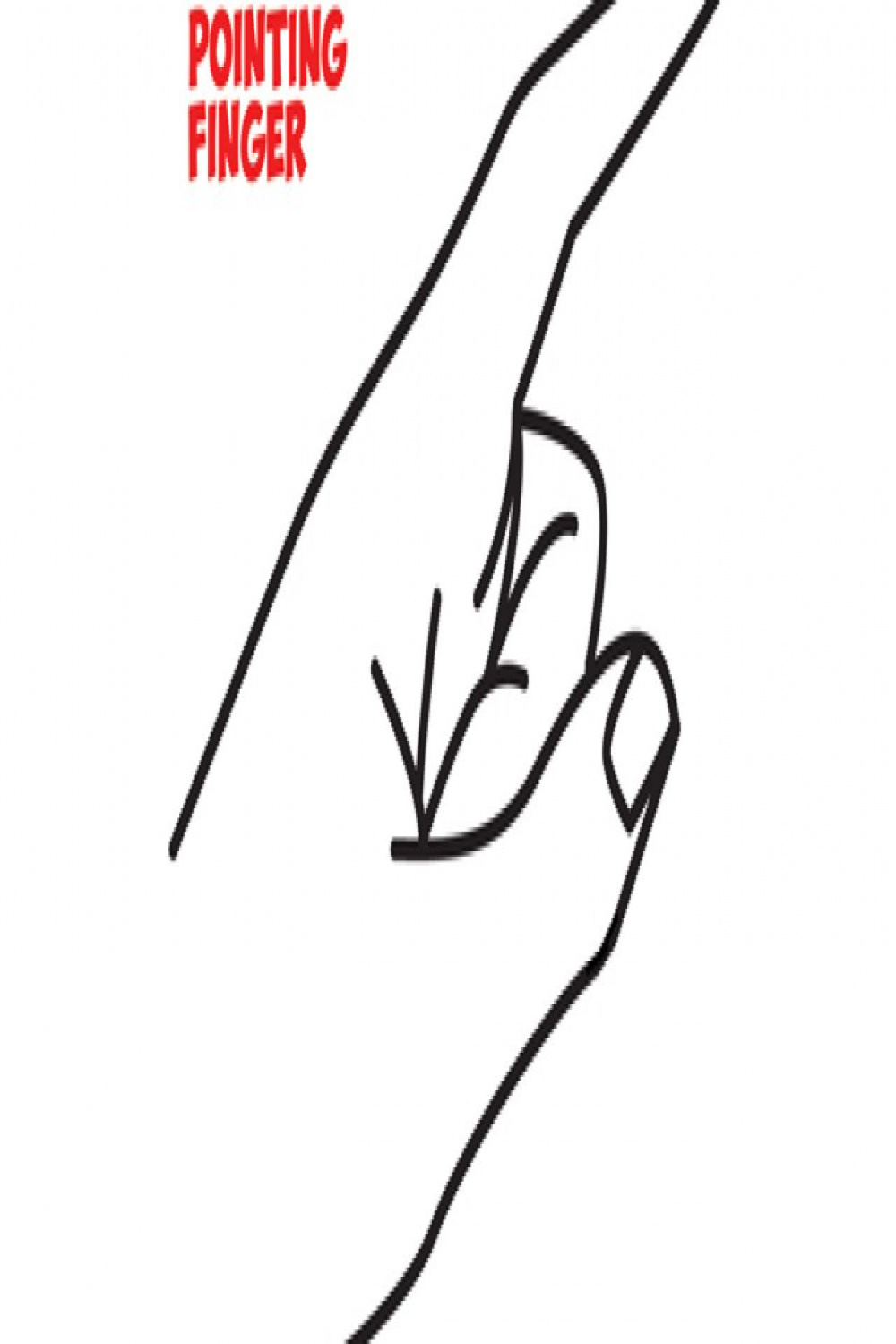 How to Draw a Pointing Hand Side View : How to Draw Cartoon
