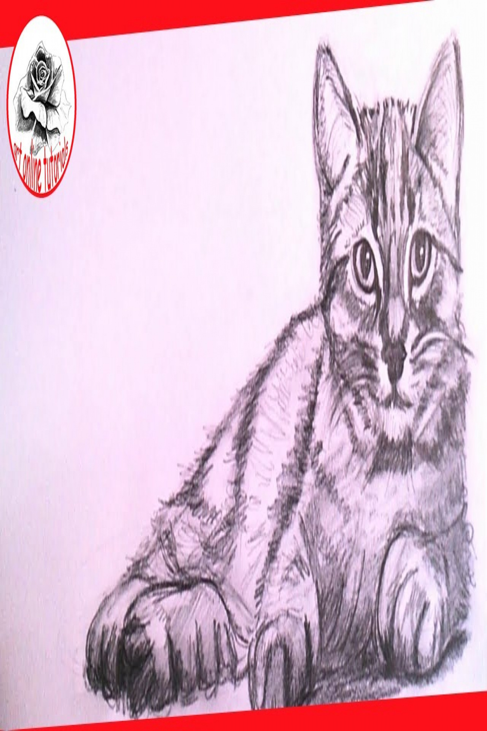 How To Draw a Realistic Cat with Pencil Step by Step : Drawing the Easy Way