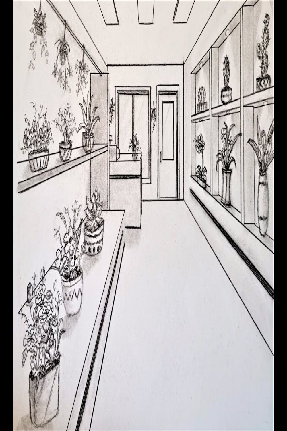 How to draw a room in one point perspective, a flower shop, step by step  drawing