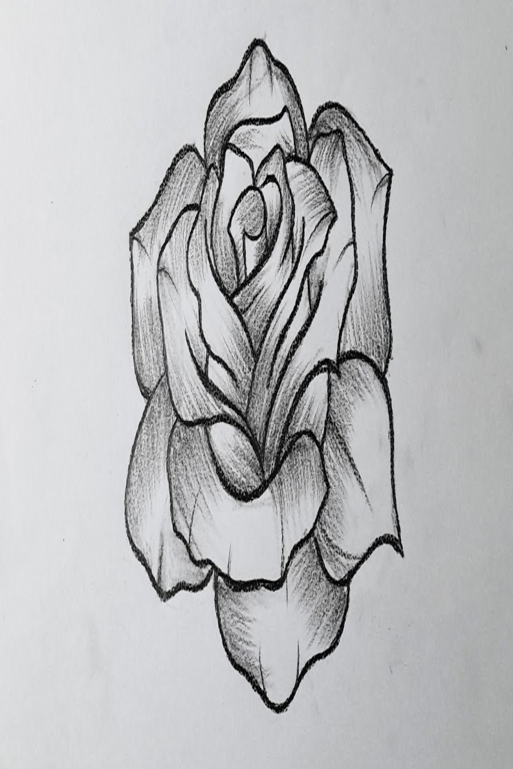 How to draw a rose easy tutorial for beginners  Rose drawing