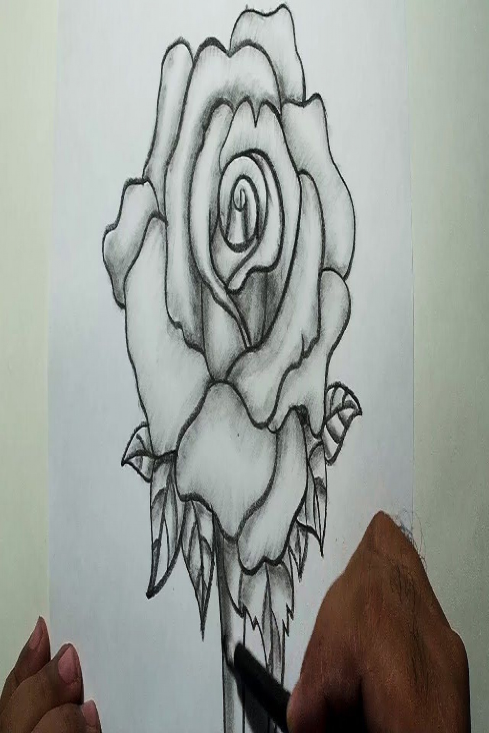 How to Draw A rose  Pencil Drawing and Shading  Flower drawing, Pencil  drawings, Flower drawing images