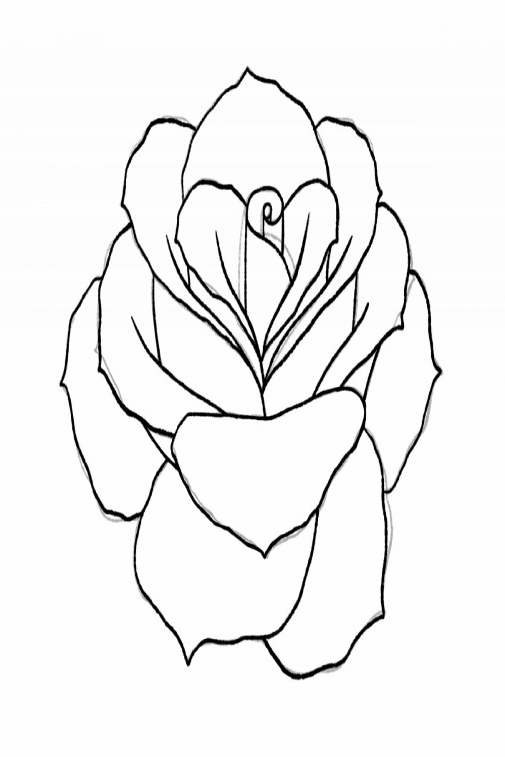 How To Draw A Rose Step-by-Step Tutorial Design Bundles