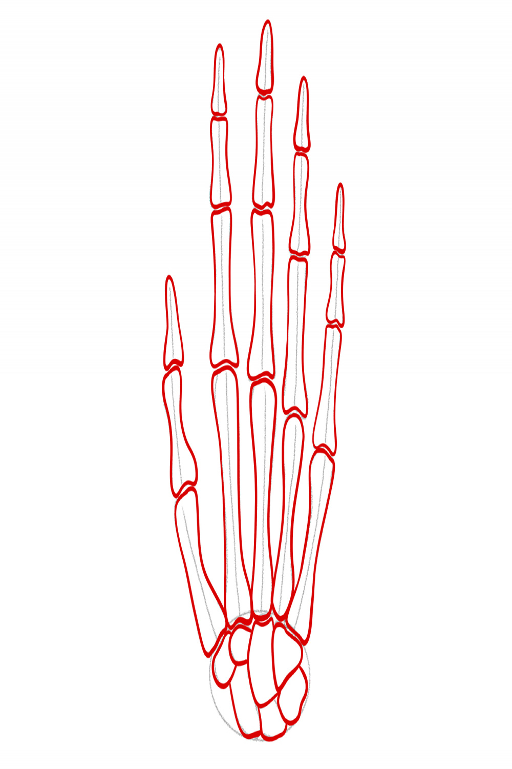 How to Draw a Skeleton Hand  Design School