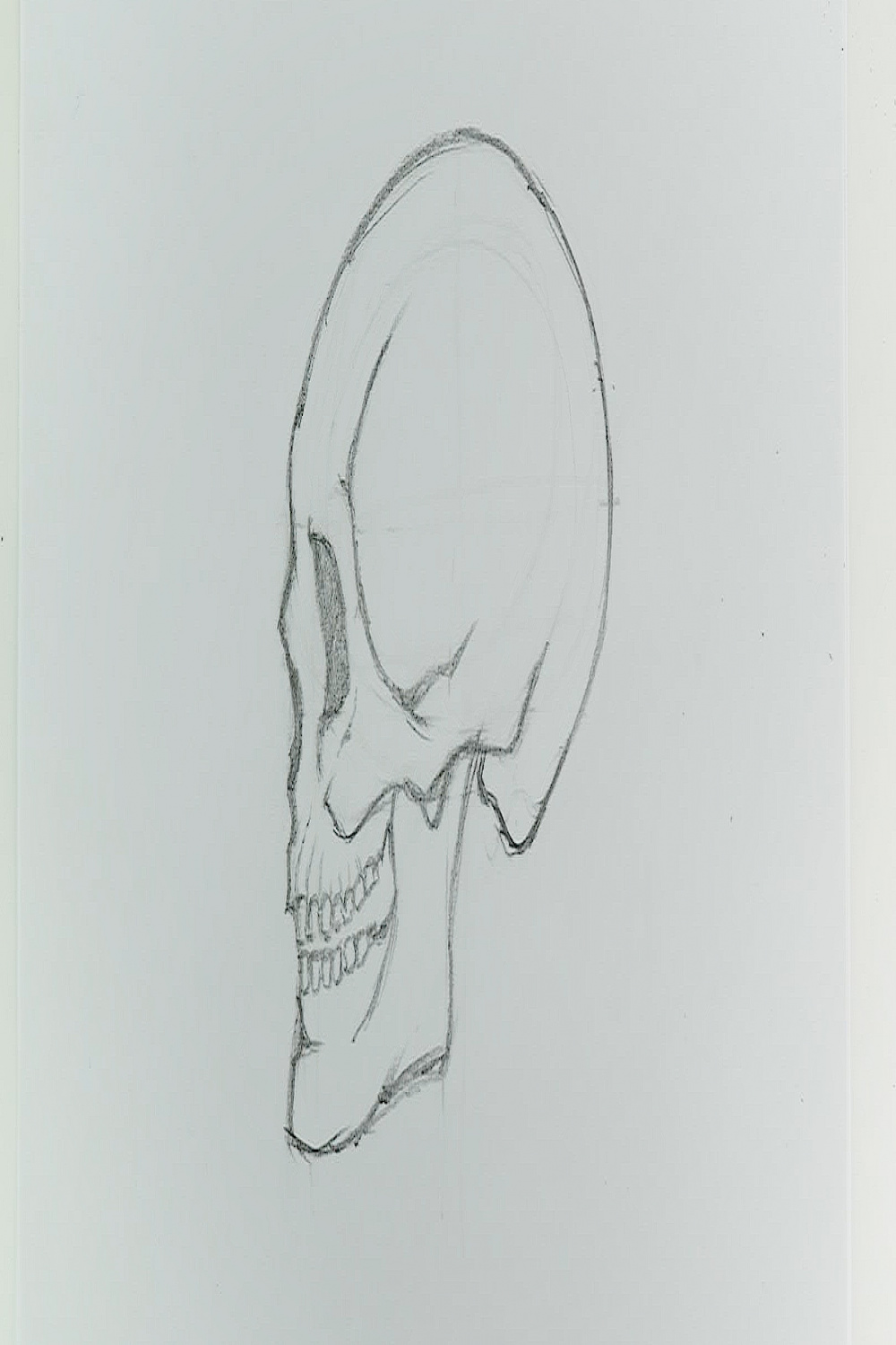 How to Draw a Skull (with Pictures) - wikiHow